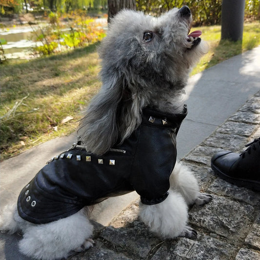 Leather Cat and Dog Jacket