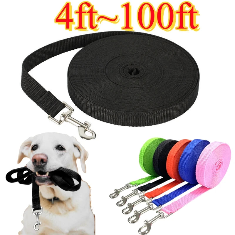 Nylon Pull Leash For Dogs