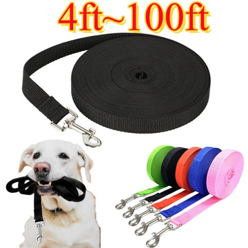 Nylon Pull Leash For Dogs