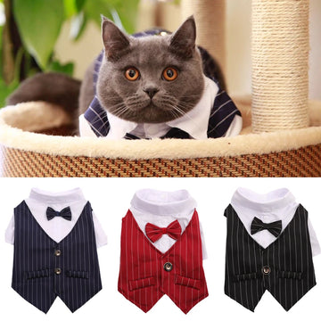 Handsome Cat, Dog Fiber Clothing