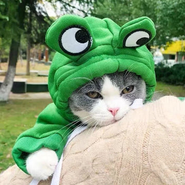 Forest Frog Cat Hoodie