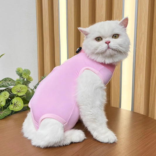 Soft Shield Pet Bodysuit