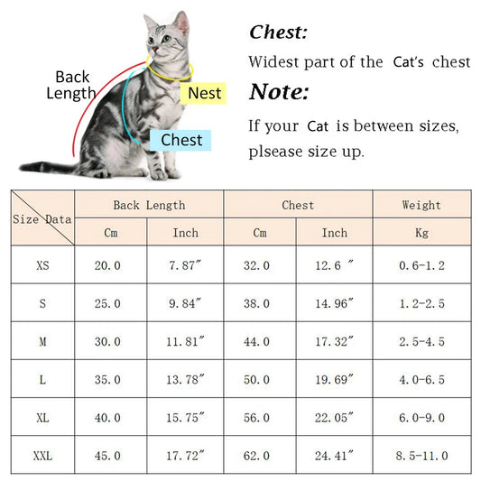 Handsome Cat, Dog Fiber Clothing