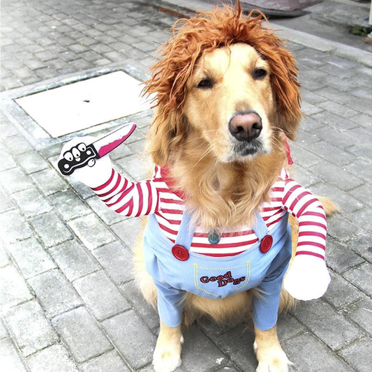 Fantasia Canina de Halloween | Chuck
