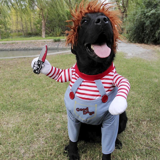 Fantasia Canina de Halloween | Chuck